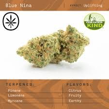Certified Organic Blue Nina Apothecare