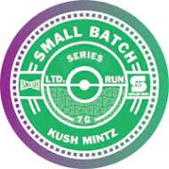 Kush Mintz SMASH Hits