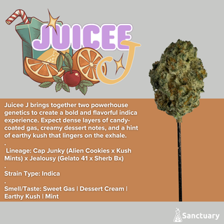 Juicee J Sanctuary