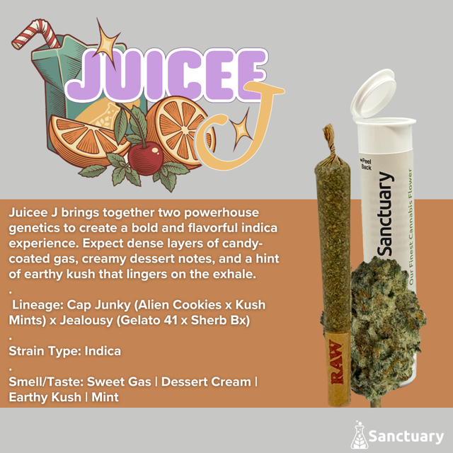 Juicee J Sanctuary