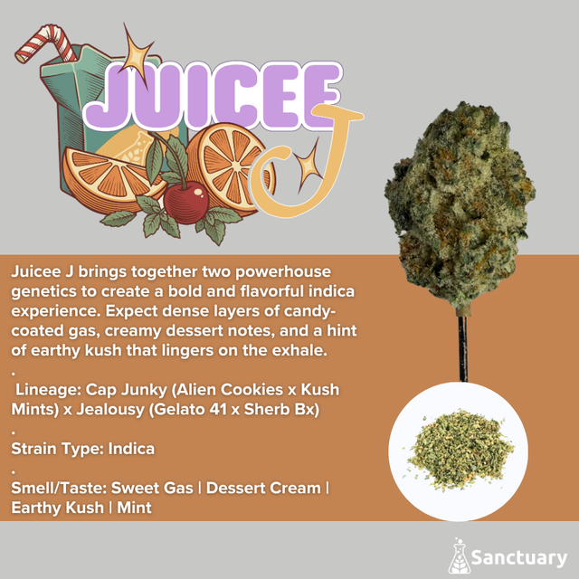 Juicee J Sanctuary
