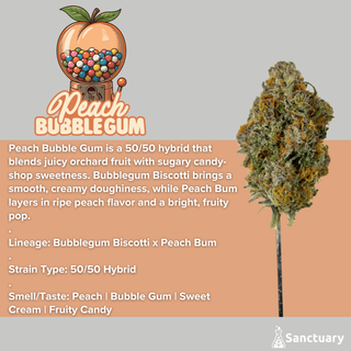 Peach Bubblegum Sanctuary
