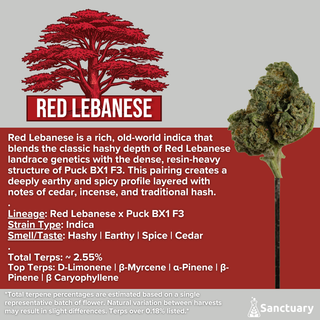 Red Lebanese Sanctuary