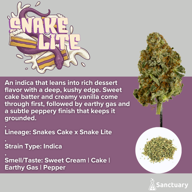 Snake Lite C Sanctuary