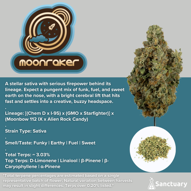 Moonraker Sanctuary