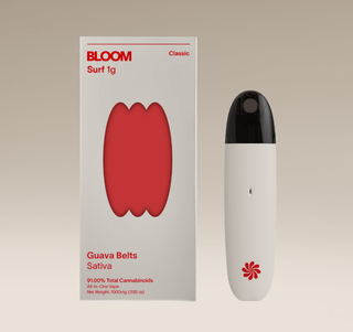 Classic Surf Guava Belts BLOOM