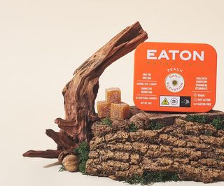 Peach Elevation Eaton Botanicals