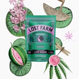 Kiva Lost Farms Fatso x Watermelon Lost Farm