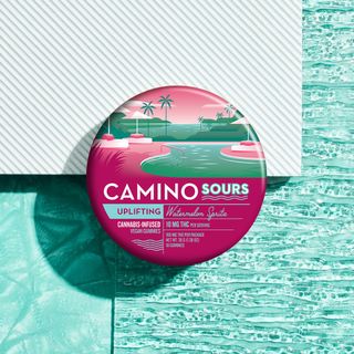 Camino Sours Watermelon Spritz Kiva