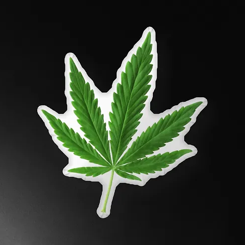 Weed Leaf Pillow Nug Matawana Dispensary