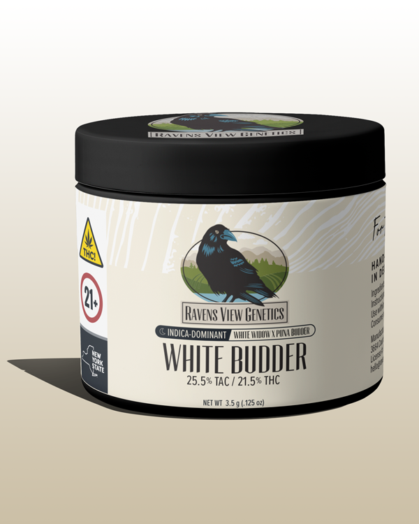 White Budder Raven's View Genetics