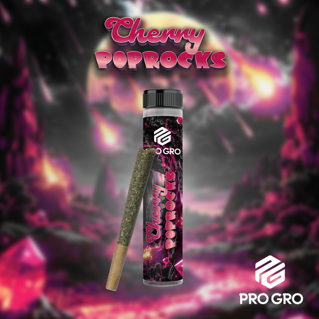 Cherry Pop Rocks Pro Gro