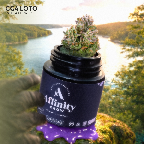 GG4 LOTO