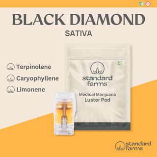 Black Diamond Standard Farms