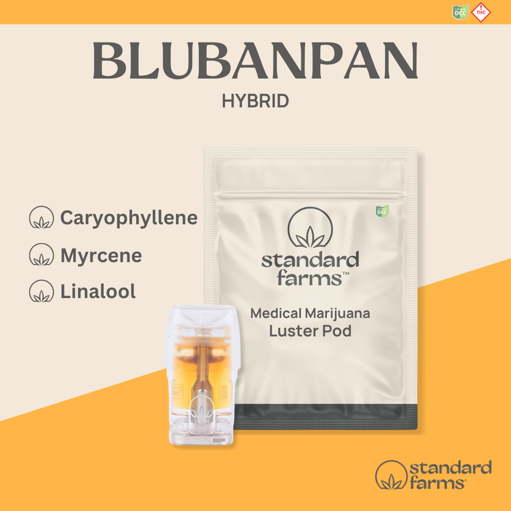 Buy BlueBanPan 1g Luster Pod online - Mother Earth's Fine Cannabis -  Columbus | Columbus | Ohio