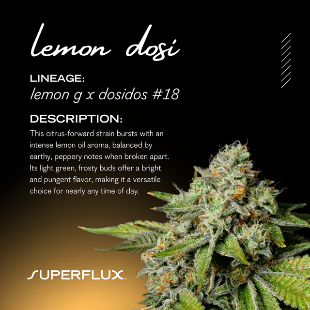 Lemon Dosi THCa Infused Superflux Lemon Dosi THCa Infused Superflux
