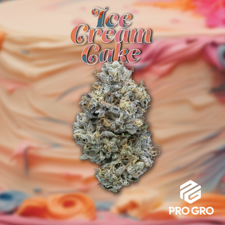 Ice Cream Cake Pro Gro