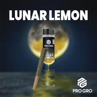 Lunar Lemon Pro Gro