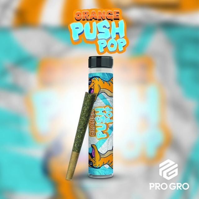 Orange Push Pop Pro Gro