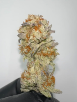 Bass River BUDS Platinum Dolato Flower 3.5g