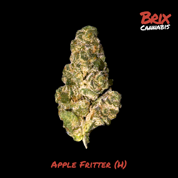 Apple Fritter