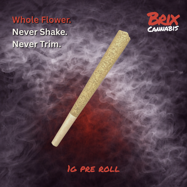 Banana Dog D 53 Brix Cannabis