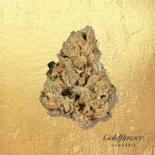 Goldflower Cannabis Dispensary Cape Coral storefront or retail location in Cape Coral, FL