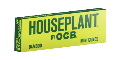 Houseplant Bamboo Mini OCB Houseplant Bamboo Mini OCB