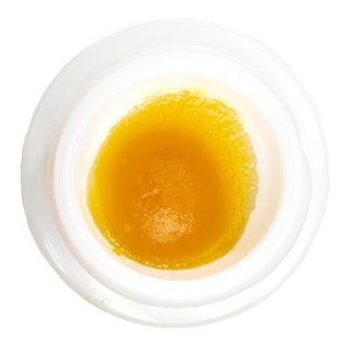 Durban Poison UpNorth