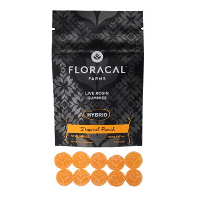 Tropical Punch FloraCal Farms