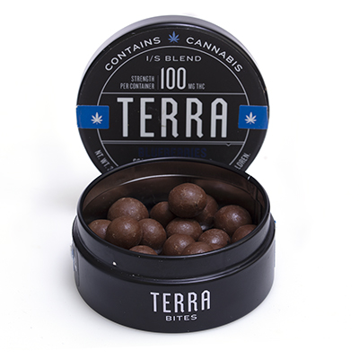Blueberry Terrabites