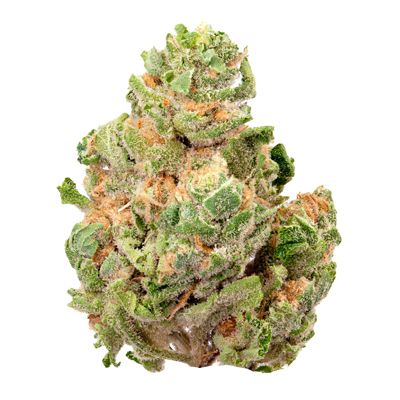 Gush Mints Simply Herb