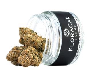 Blue Sapphire FloraCal Farms