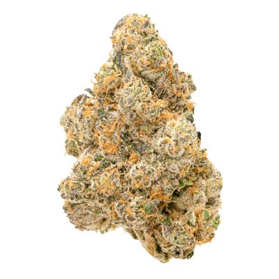 Purple Plague FloraCal Farms