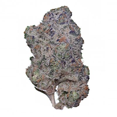 Ice Cream Cake High Supply