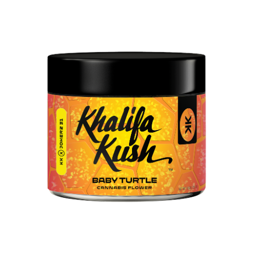 Baby Turtle Khalifa Kush Baby Turtle Khalifa Kush