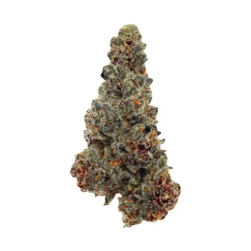 Triple Stack Grassroots
