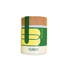 Mint Sherbert The Botanist