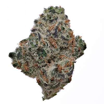 GMO Aeriz