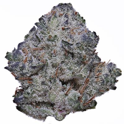 Gorilla Cookies Aeriz