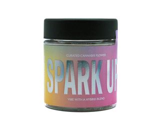 Vibe Blend Spark Up