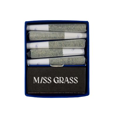 Blend Gp+bd Miss Grass
