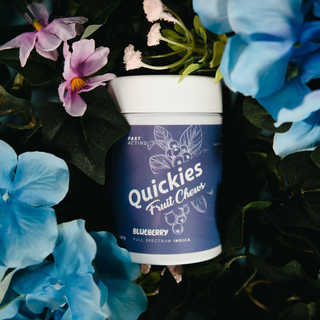Blueberry Quickies Full Spectrum