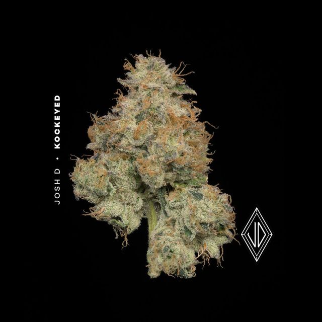 Kockeyed  Josh D by Klutch 