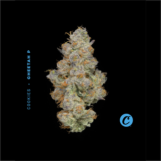 Cheetah P Cookies