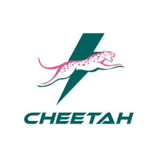 Cannabis Promo, Cannabis Sales, Cannabis Discounts, Cannabis on Sale, Cheetah Daily Deal 25% 1