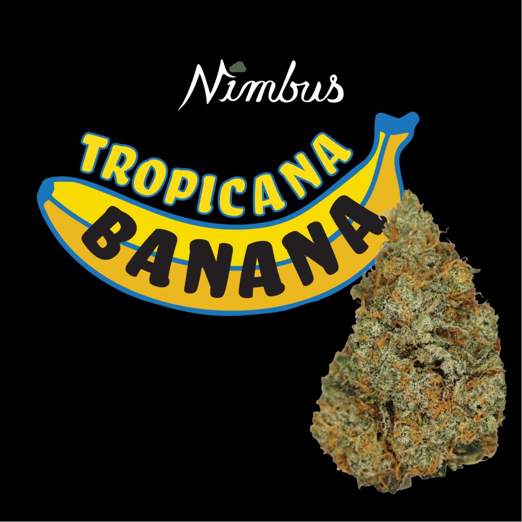 Tropicana Banana - 3.5g