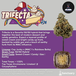 Trifecta - Cured Resin -  Volcanna
