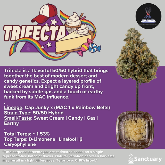 Baller Jar - Trifecta - Cured Resin Volcanna