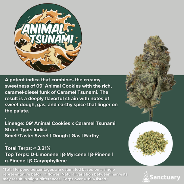 Animal Tsunami Sanctuary